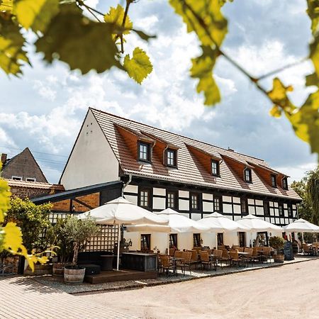 Weingut Schuh - Pension Zur Bosel Coswig (Saxony) Exterior foto