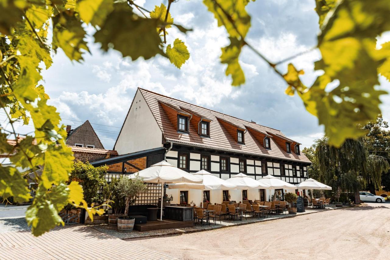 Weingut Schuh - Pension Zur Bosel Coswig (Saxony) Exterior foto