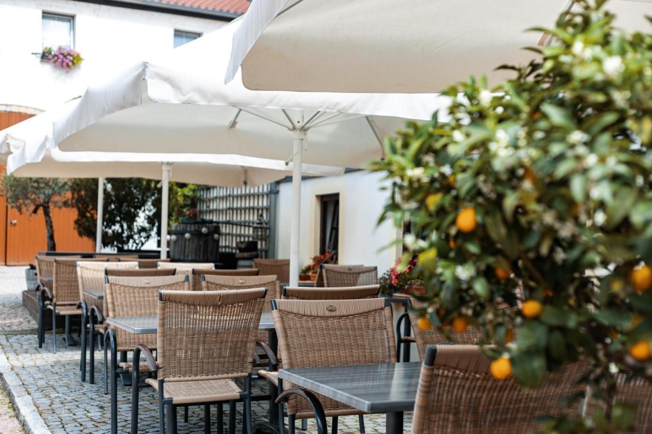 Weingut Schuh - Pension Zur Bosel Coswig (Saxony) Exterior foto